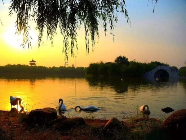 東昌湖風(fēng)景